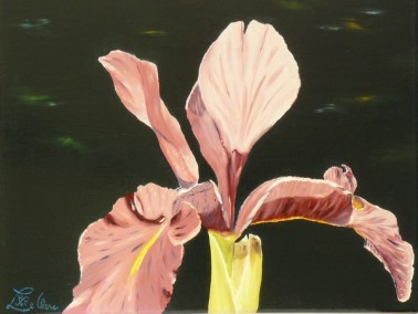 Huile sur toile