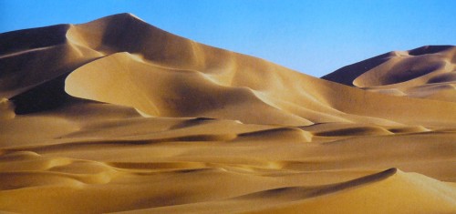 Dunes Dunes