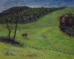 La jeune cavalière à Marcolès