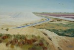 Sel de Camargue