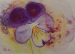 AQUARELLE