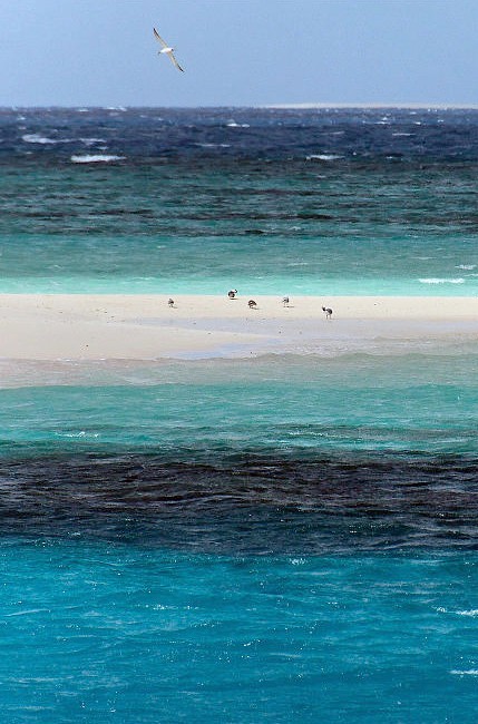 Lien vers la page Cours de photo la mer
