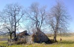 Plateau du Cantal