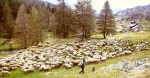 Alpes