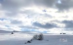 IMG_0713