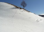 Les-traces