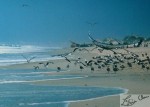 L'heure des oiseaux