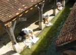 P1000959
