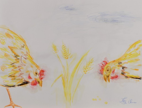 poules 4