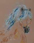 Cheval doux 2