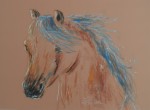 Cheval doux 1