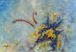 HUILE