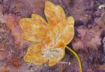 HUILE