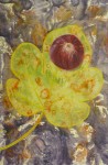 HUILE
